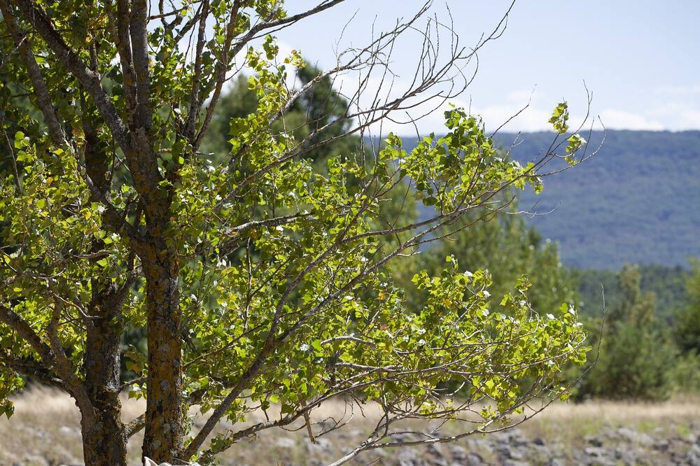Photo of Outdoor in Turi