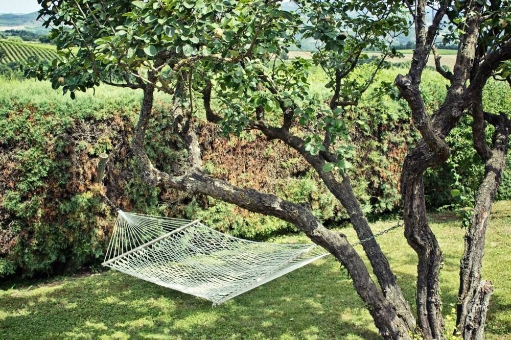 Photo of Outdoor in Corbara