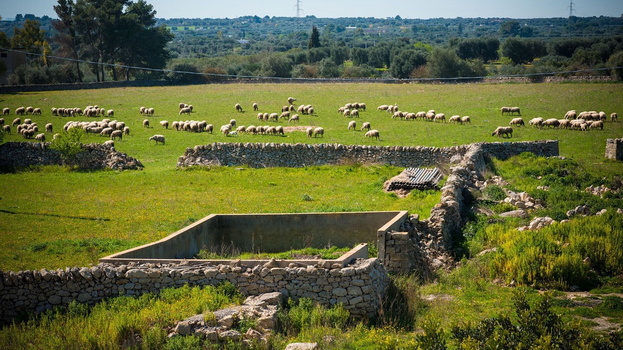 Photo of Outdoor in Villa Castelli