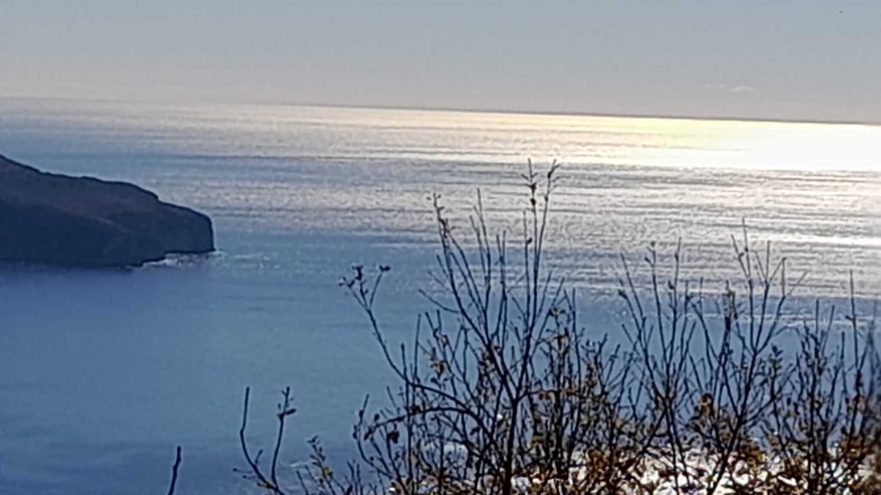 Photo of Others in Pisciotta
