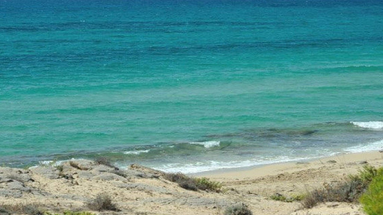 Photo of Others in Torricella