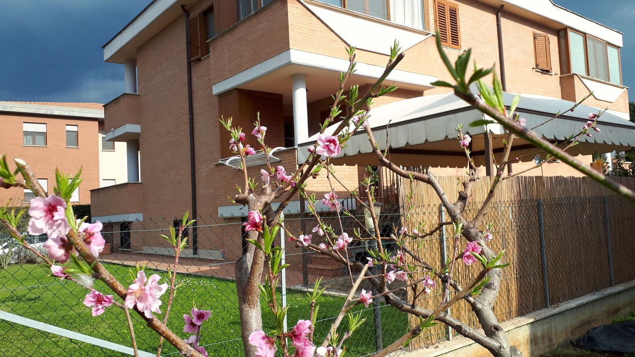 Photo of Outdoor in Latina