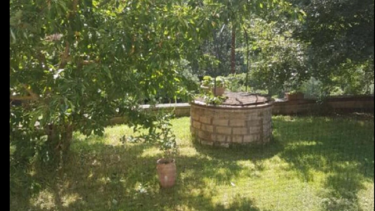 Photo of Outdoor in Vitorchiano
