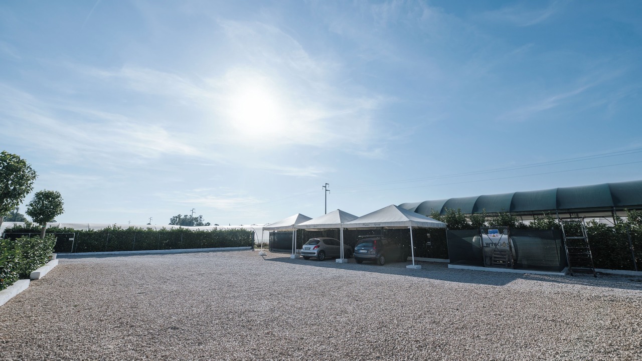 Photo of Outdoor in Sabaudia