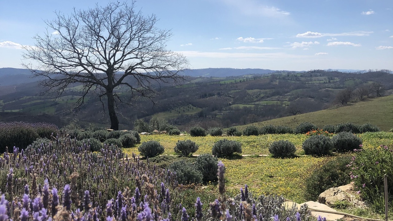 Photo of Others in Manciano