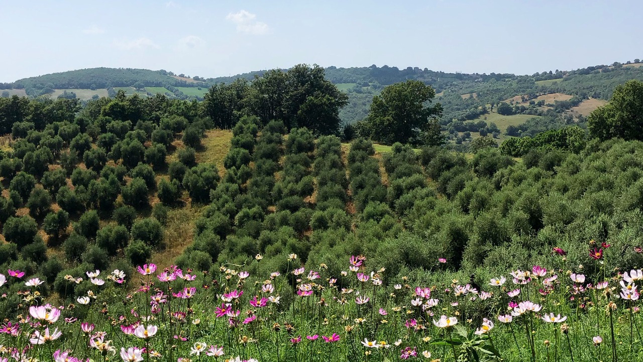 Photo of Outdoor in Manciano