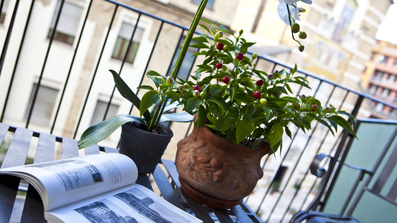 Photo of Bedroom in Testaccio