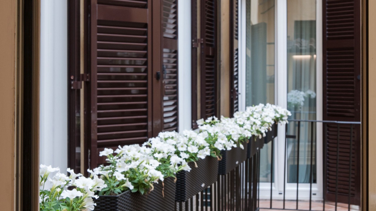 Photo of Patio Balcony in Navona