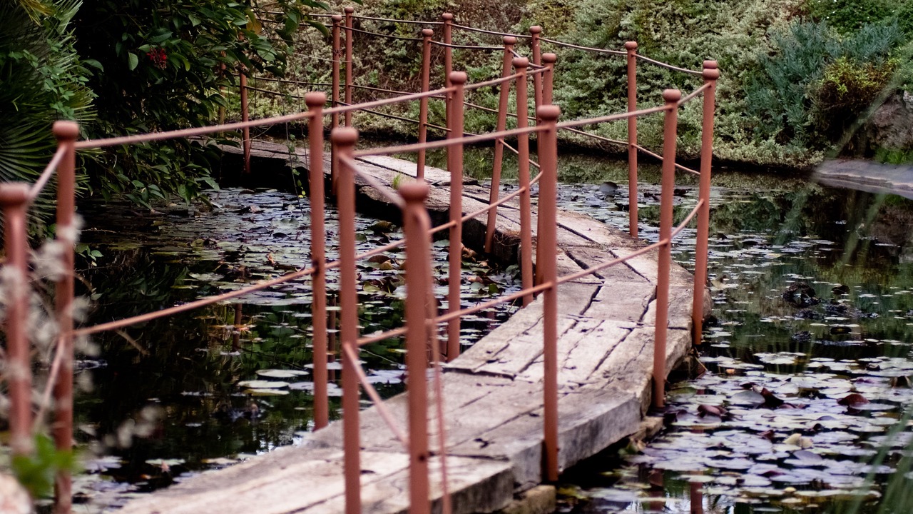 Photo of Outdoor in Municipio 4