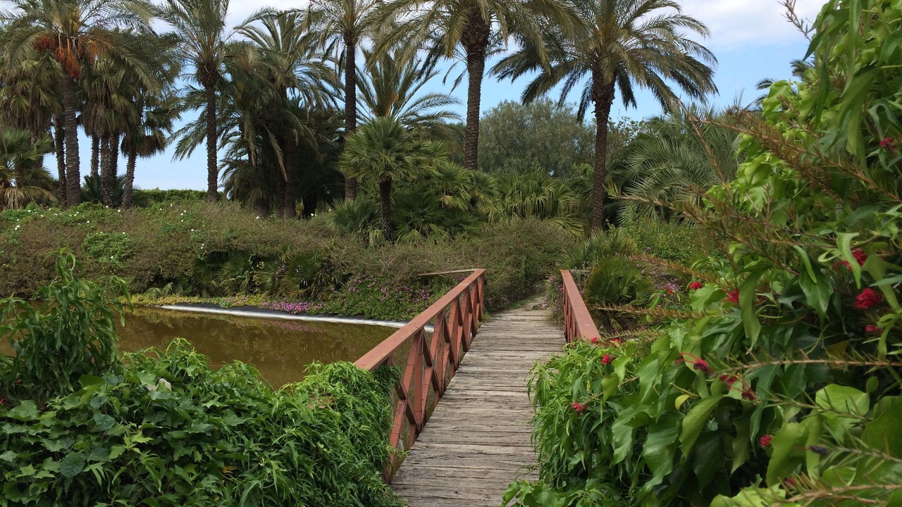 Photo of Outdoor in Municipio 4