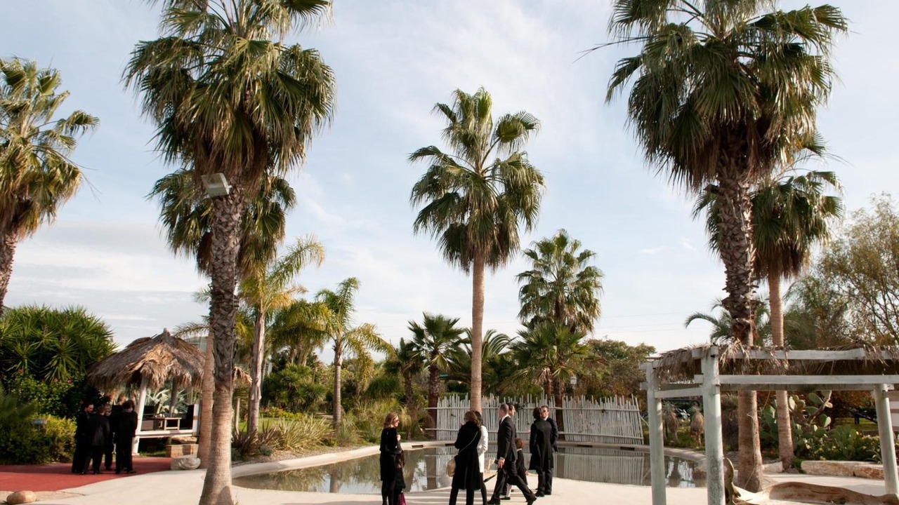 Photo of Outdoor in Municipio 4