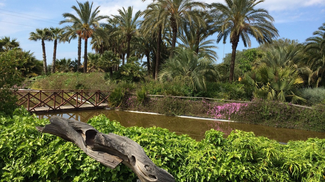 Photo of Outdoor in Municipio 4