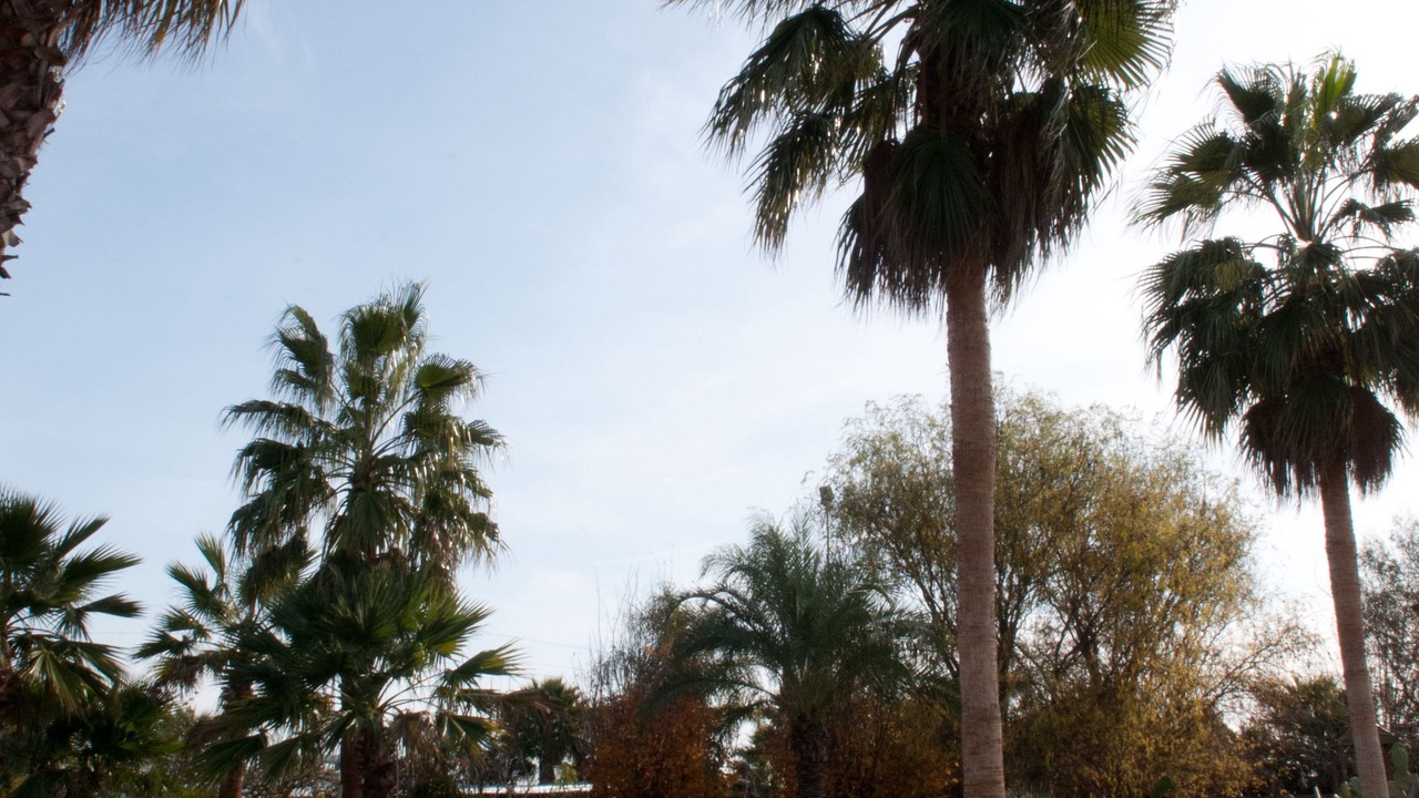Photo of Outdoor in Municipio 4