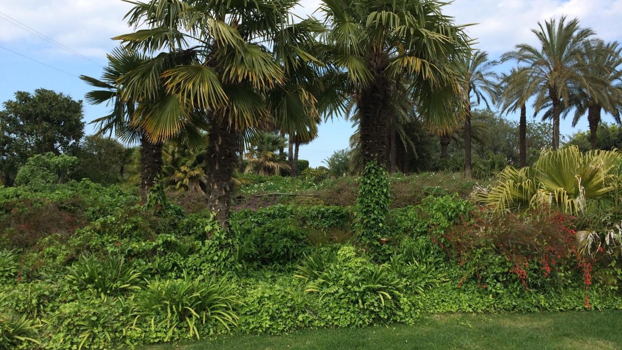 Photo of Outdoor in Municipio 4