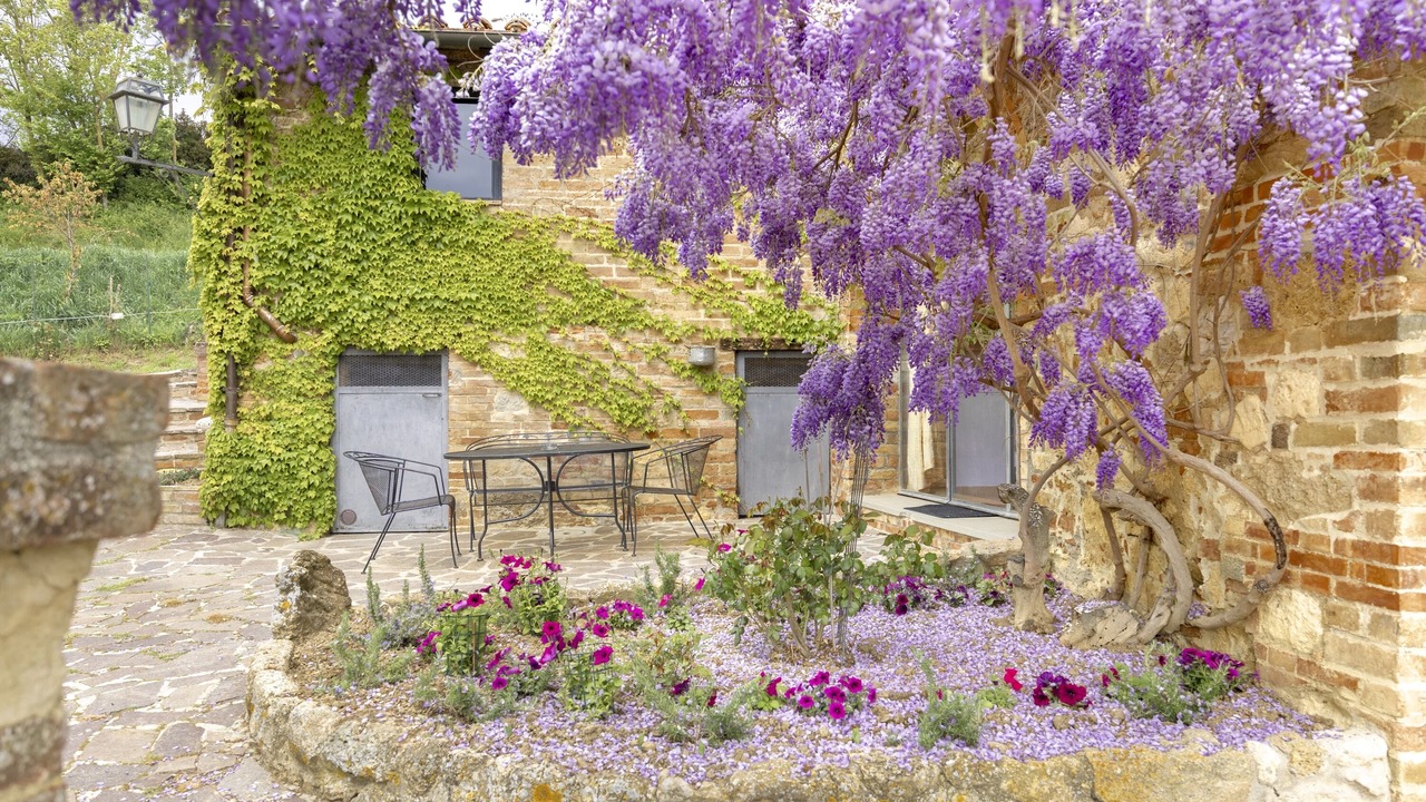 Photo of Outdoor in Montepulciano