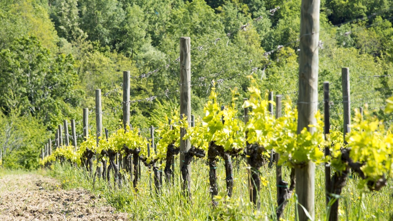 Photo of Outdoor in Montepulciano