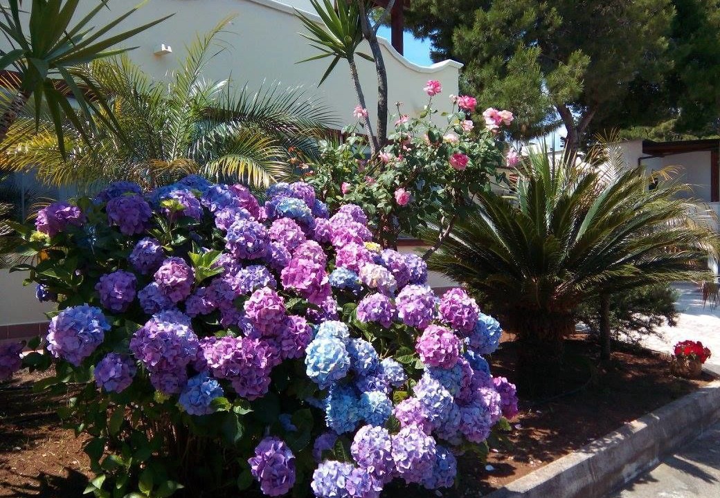 Photo of Outdoor in Chiesiola