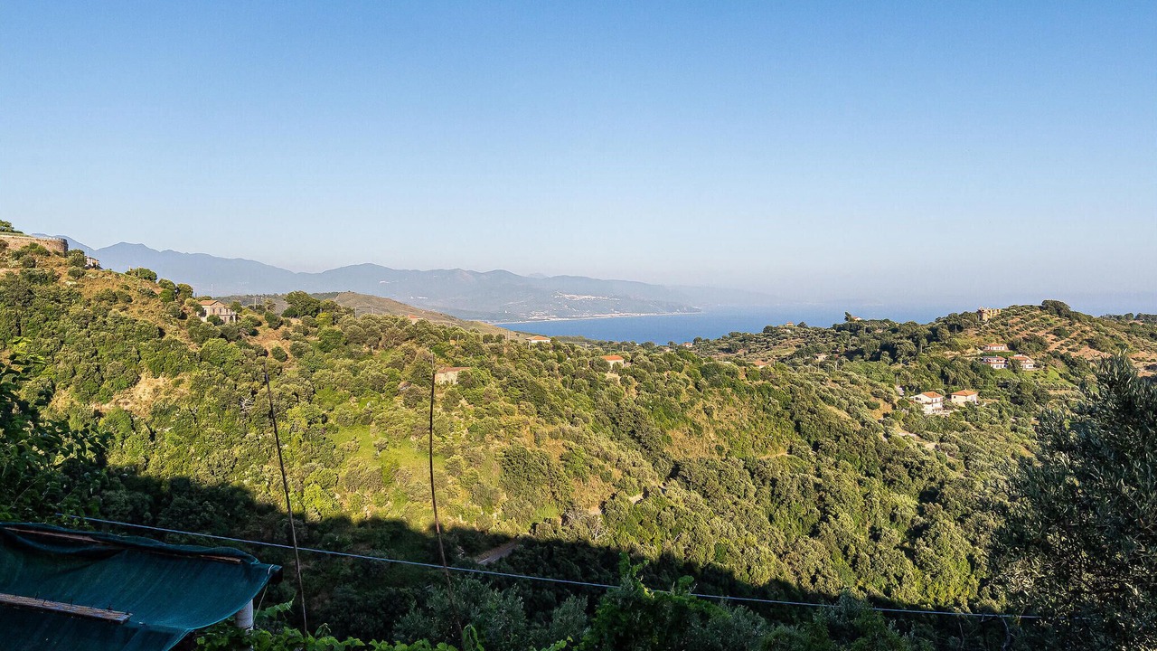 Photo of Others in Pollica