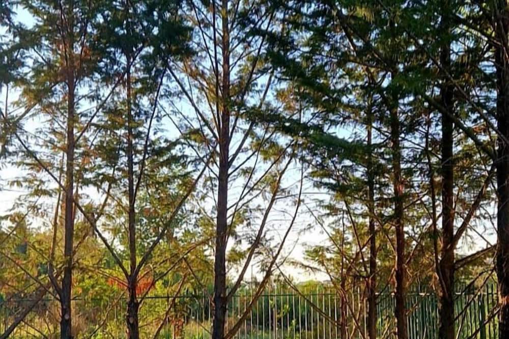 Photo of Outdoor in Laureana Cilento