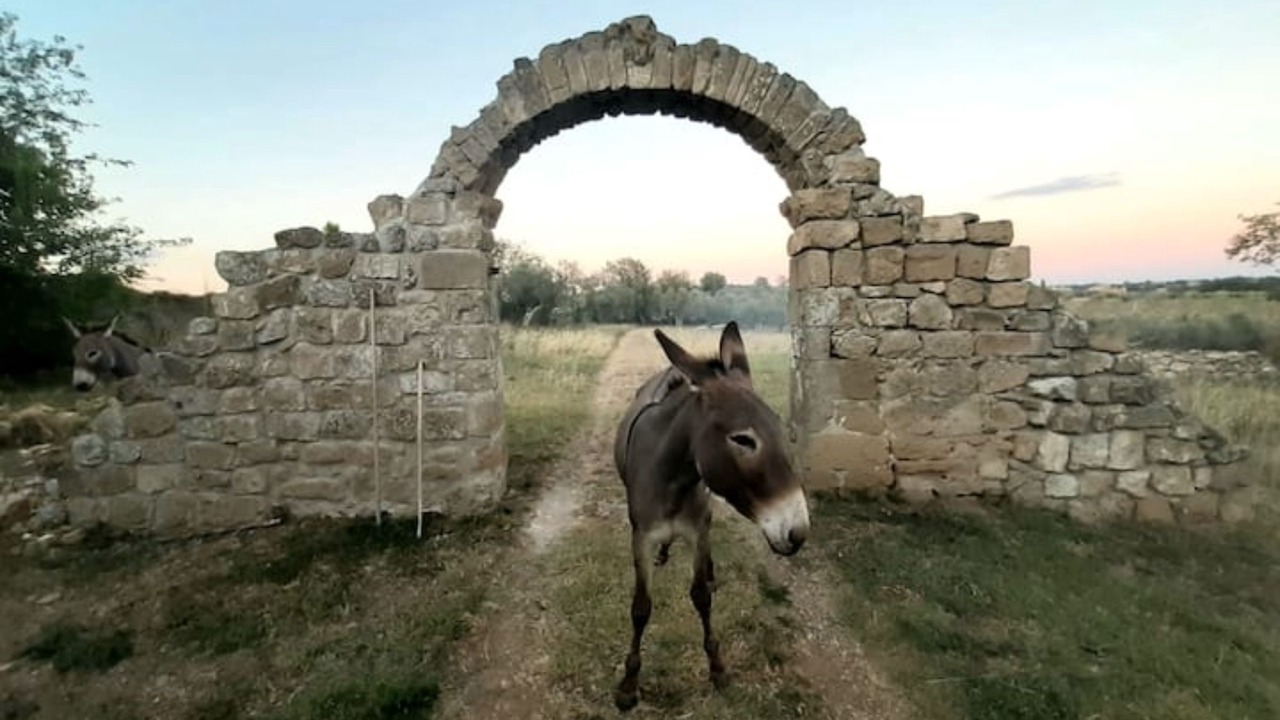 Photo of Outdoor in Farnese