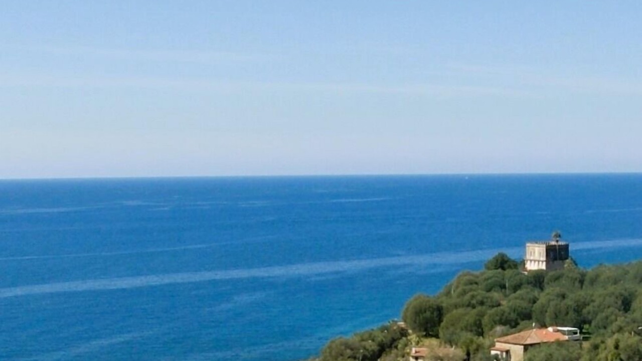 Photo of Others in Marina Lido