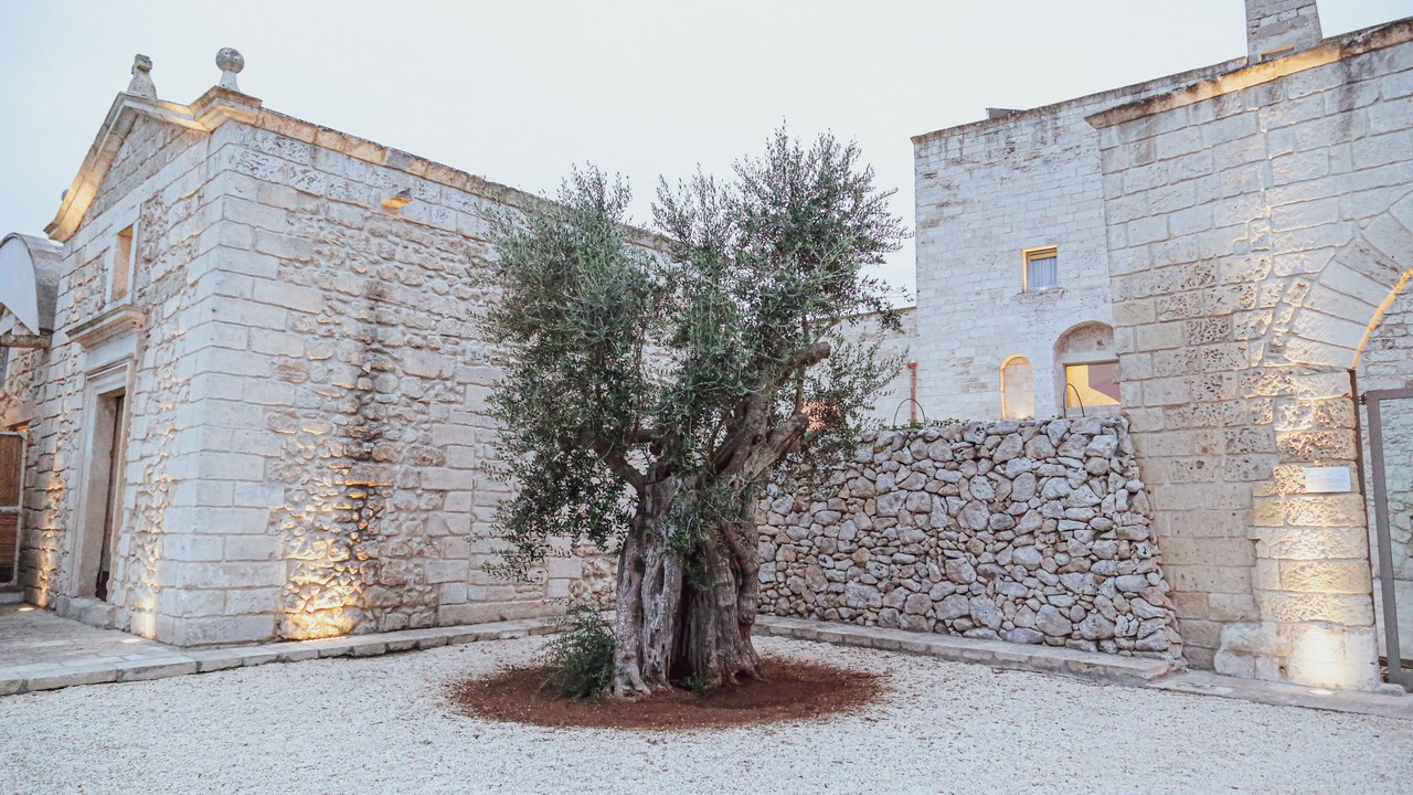 Photo of Outdoor in Giorgilorio