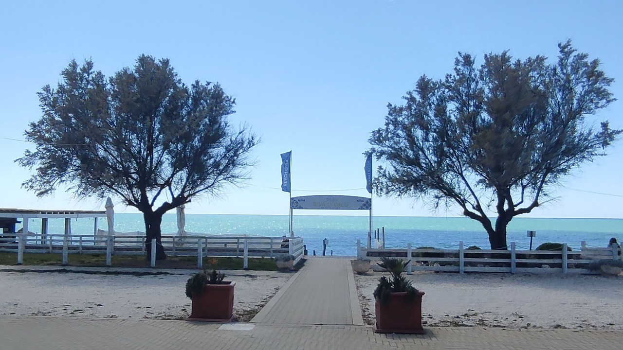 Photo of Others in Ladispoli