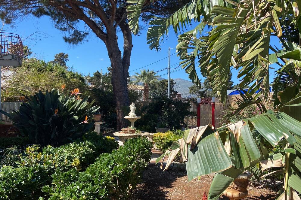 Photo of Outdoor in Carini
