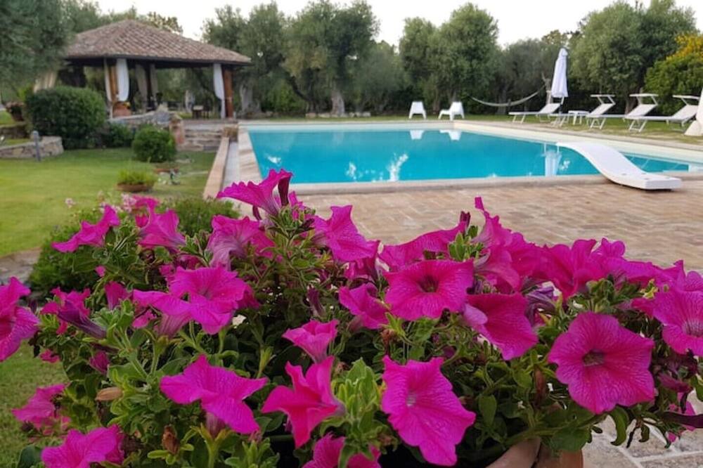 Photo of Outdoor in Capalbio