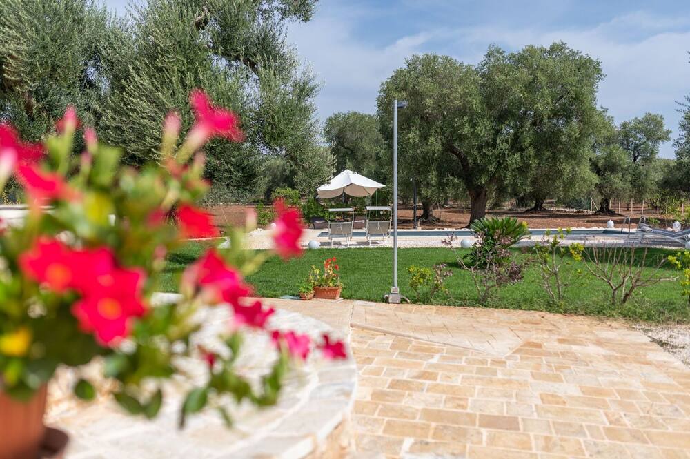 Photo of Others in San Vito dei Normanni