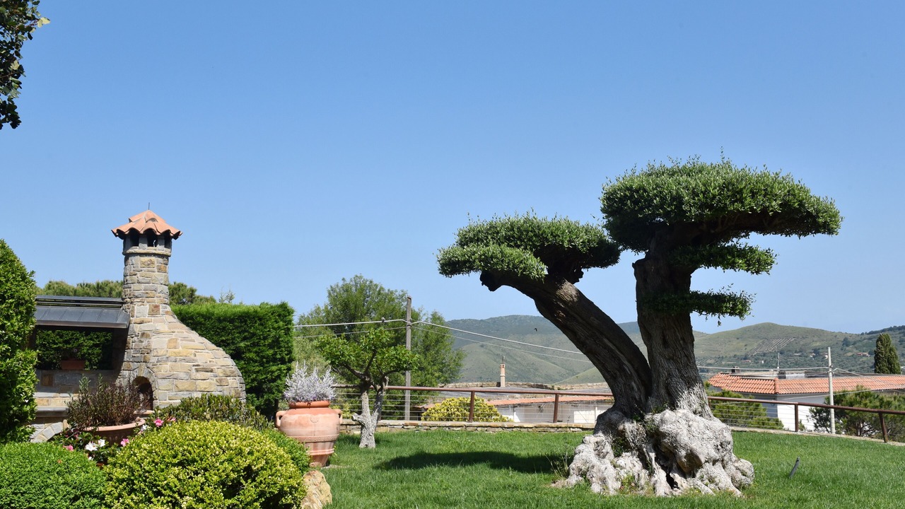 Photo of Outdoor in Perdifumo