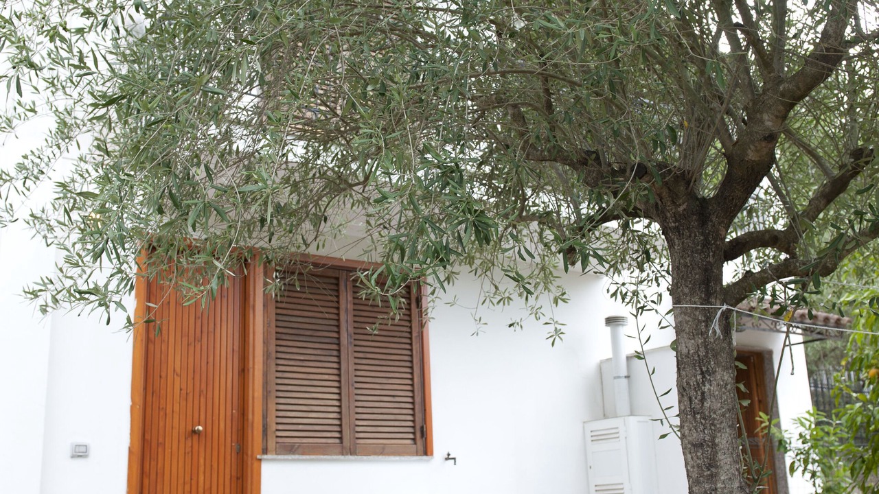 Photo of Outdoor in Torchiara