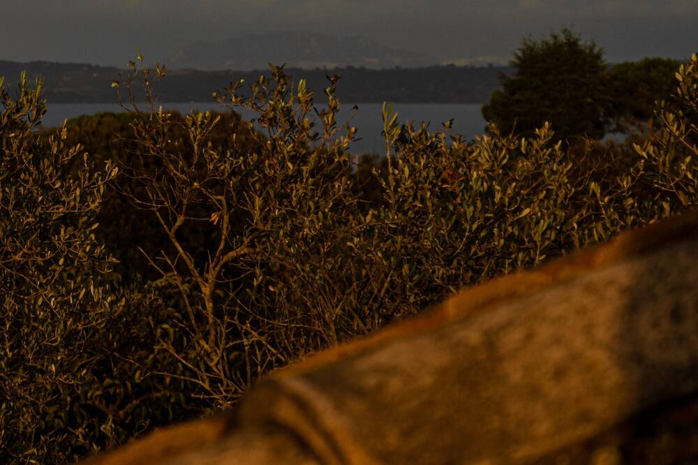Photo of Others in Lake Bracciano