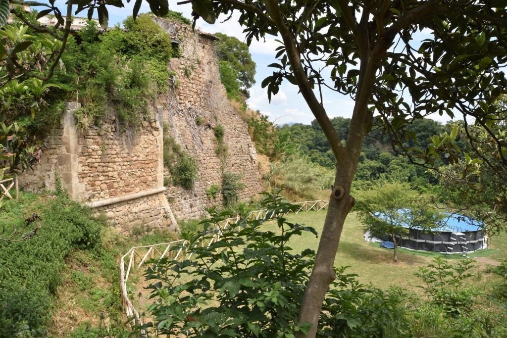 Photo of Outdoor in Civitella d'Agliano