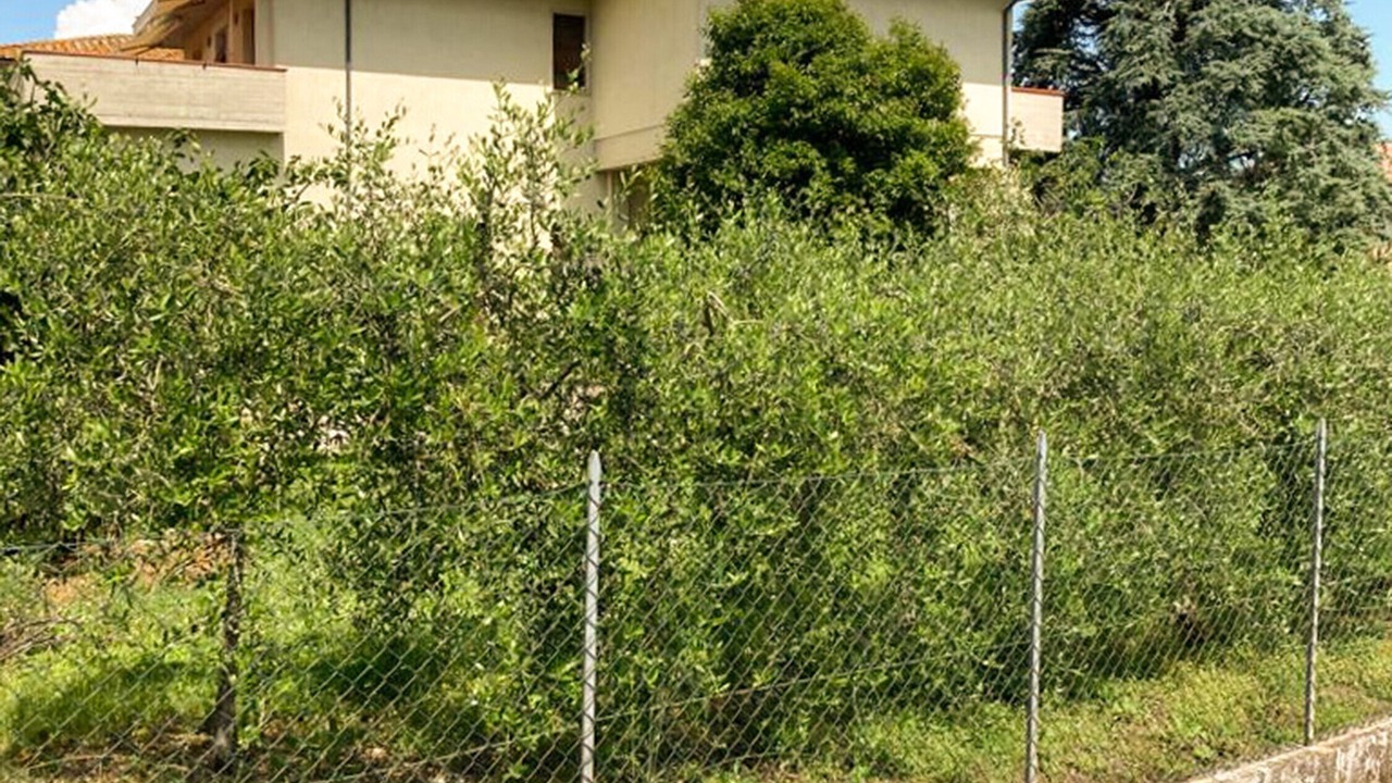 Photo of Outdoor in Acquaviva