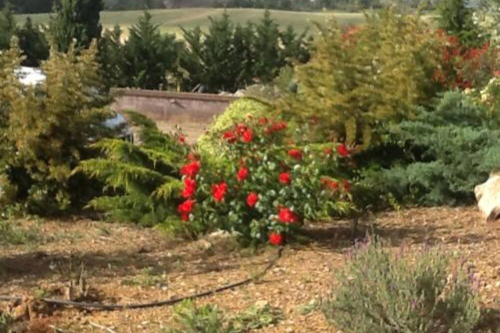 Photo of Outdoor in Montalto di Castro
