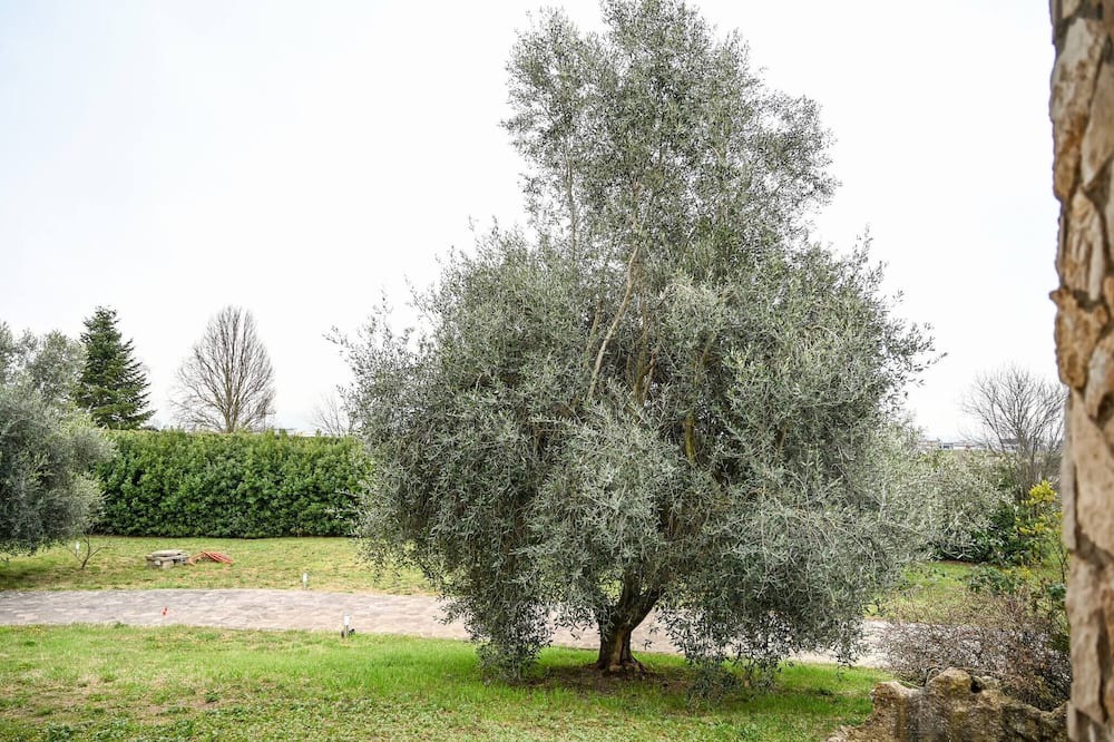 Photo of Outdoor in Fiano Romano