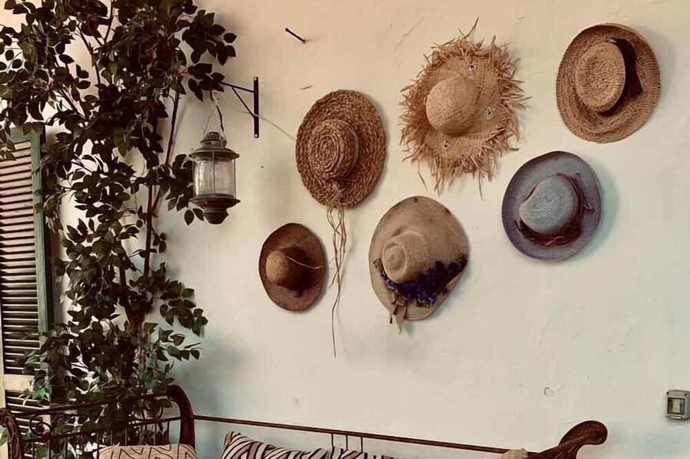 Photo of Others in Ponza