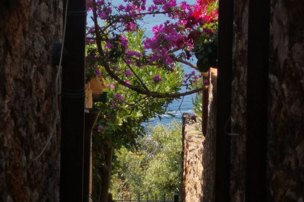Photo of Others in Cala Piccola