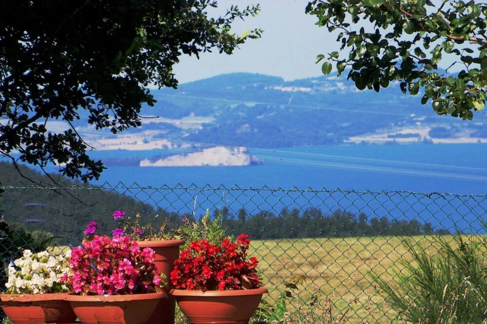 Photo of Outdoor in Capraccia