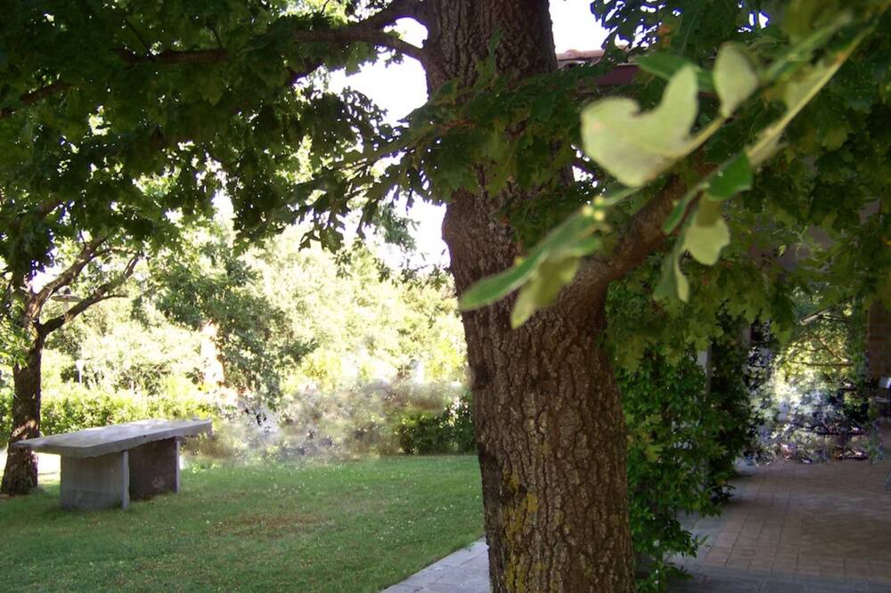 Photo of Outdoor in Capraccia