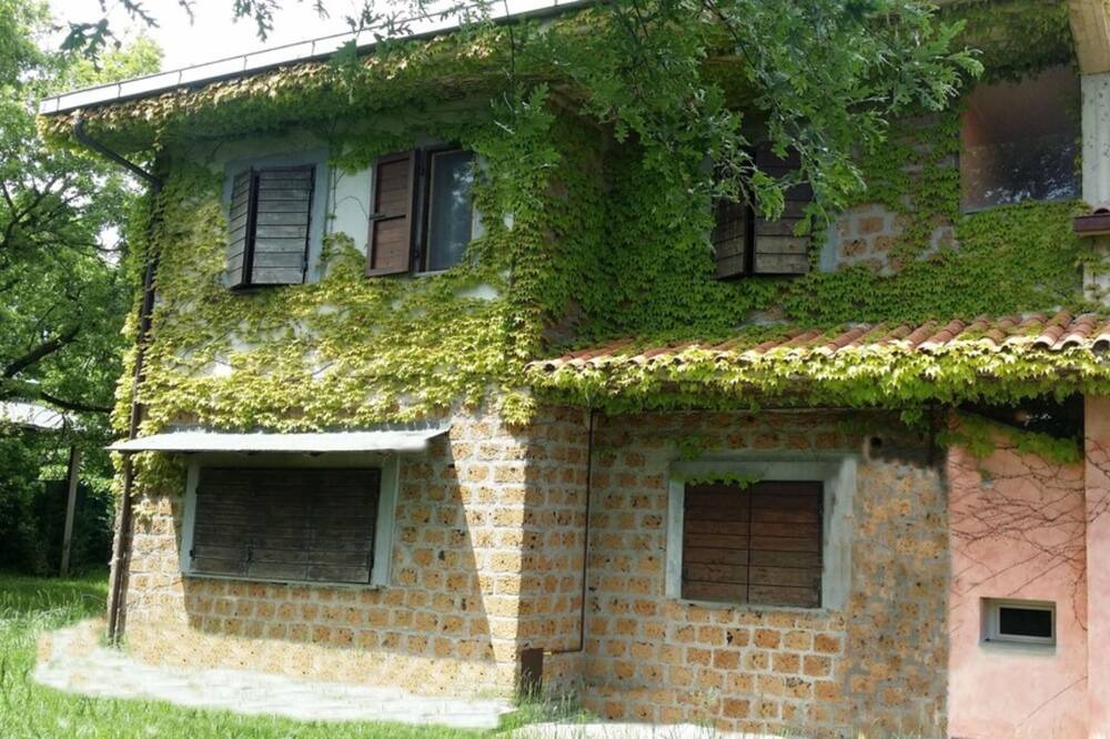 Photo of Outdoor in Capraccia
