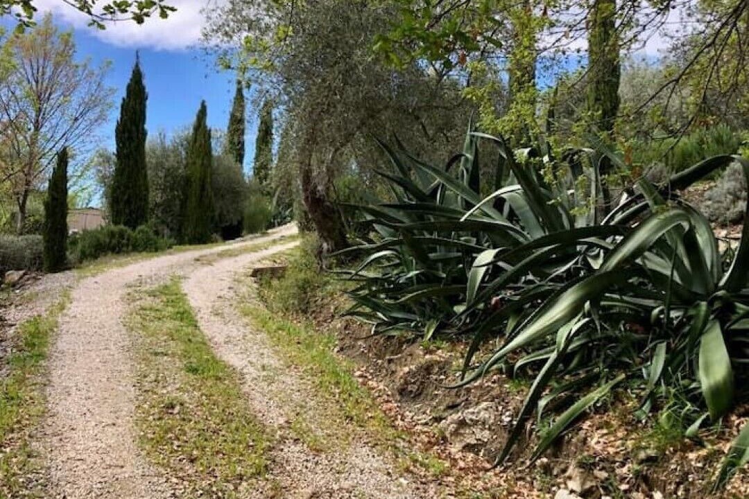 Photo of Outdoor in Manciano