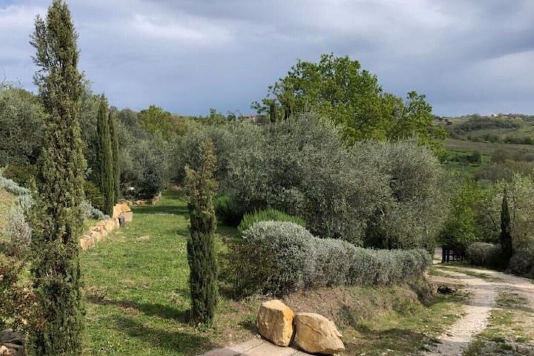 Photo of Outdoor in Manciano