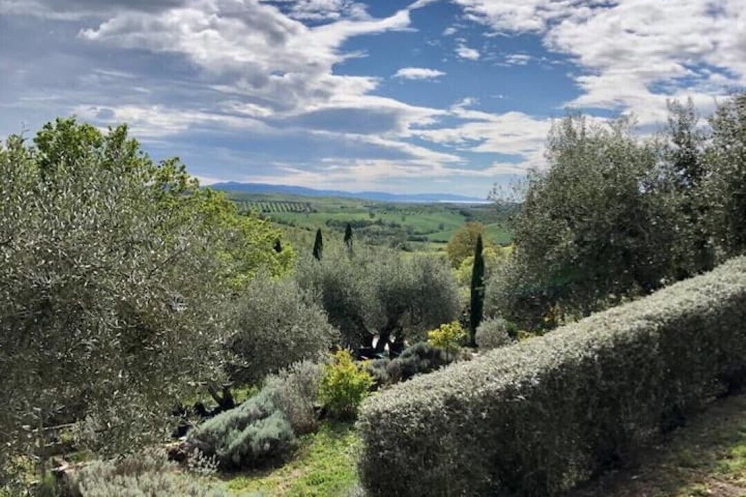 Photo of Outdoor in Manciano