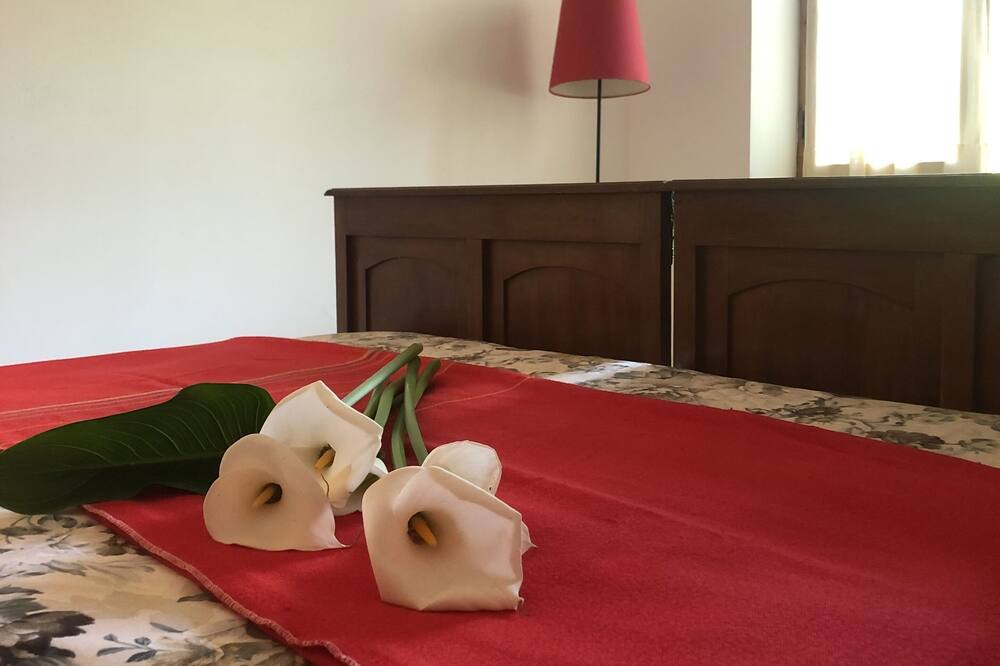 Photo of Bedroom in Maenza