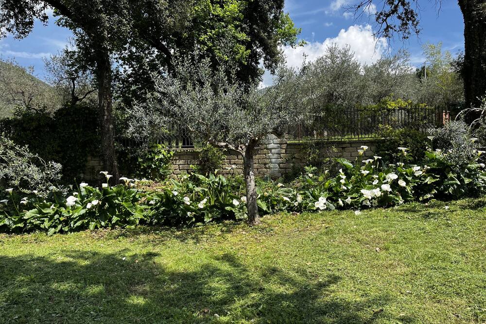 Photo of Outdoor in Maenza