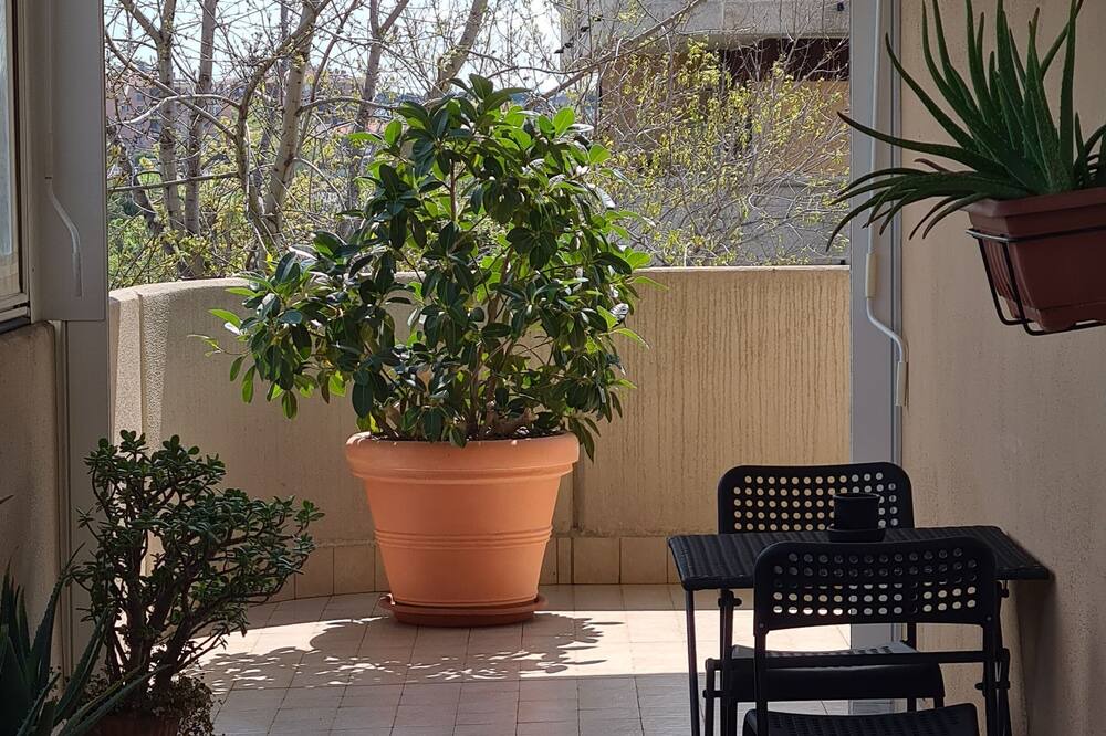 Photo of Outdoor in Rome Province