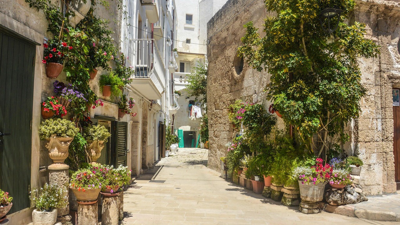 Photo of Outdoor in Bitonto