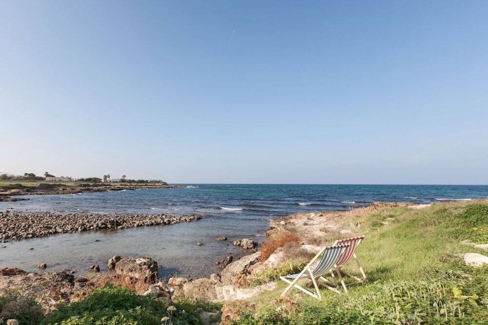 Photo of Others in Mola di Bari